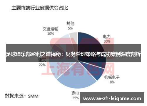 足球俱乐部盈利之道揭秘：财务管理策略与成功案例深度剖析