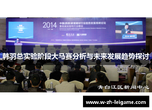 韩羽总实验阶段大马赛分析与未来发展趋势探讨