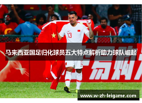 马来西亚国足归化球员五大特点解析助力球队崛起