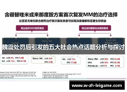 魏震处罚后引发的五大社会热点话题分析与探讨