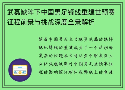 武磊缺阵下中国男足锋线重建世预赛征程前景与挑战深度全景解析